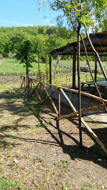 Bed and Breakfast Dal Biondo Dogliola Exterior foto